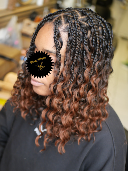 salon de coiffure afro tresse tresses box braids crochet braids vanilles tissages paris 75 77 78 91 92 93 94 95 VYVGPDYX