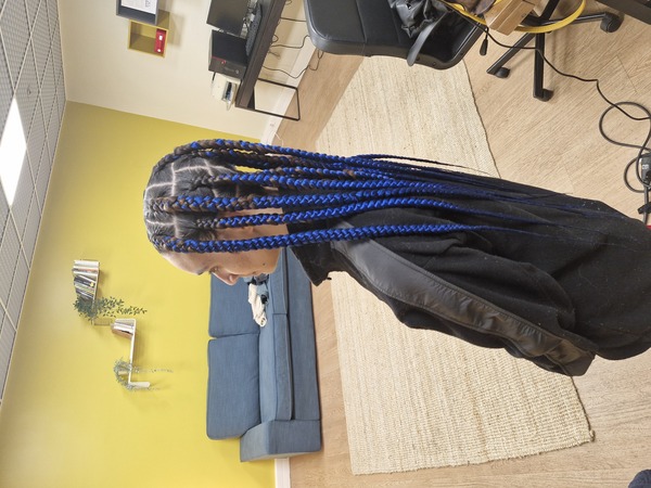 salon de coiffure afro tresse tresses box braids crochet braids vanilles tissages paris 75 77 78 91 92 93 94 95 ZDKNHBZF