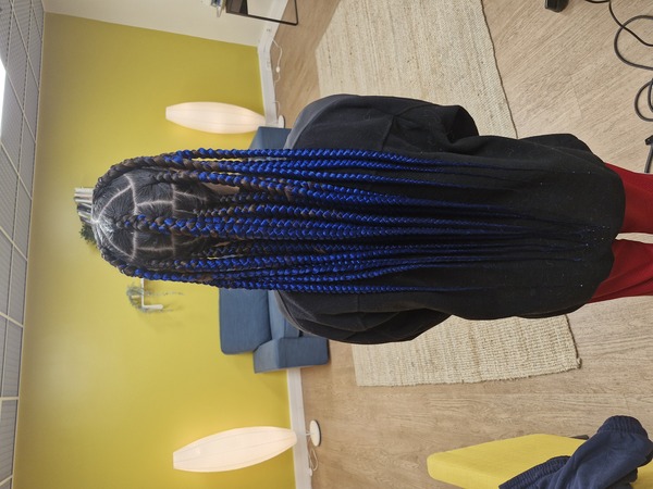 salon de coiffure afro tresse tresses box braids crochet braids vanilles tissages paris 75 77 78 91 92 93 94 95 SEHCOHKA
