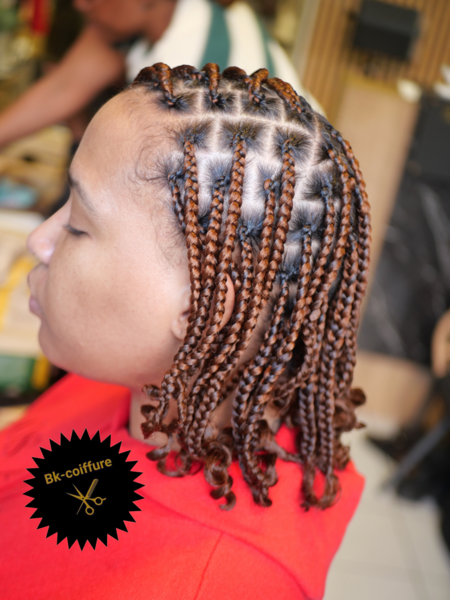 salon de coiffure afro tresse tresses box braids crochet braids vanilles tissages paris 75 77 78 91 92 93 94 95 FJACPHBW