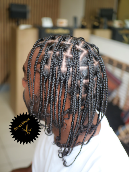 salon de coiffure afro tresse tresses box braids crochet braids vanilles tissages paris 75 77 78 91 92 93 94 95 LUXOZFWI