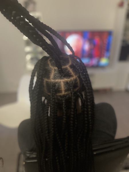 salon de coiffure afro tresse tresses box braids crochet braids vanilles tissages paris 75 77 78 91 92 93 94 95 ABLNLPUJ