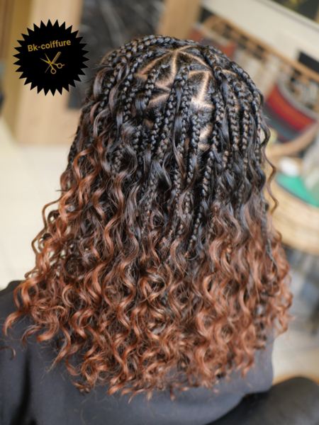salon de coiffure afro tresse tresses box braids crochet braids vanilles tissages paris 75 77 78 91 92 93 94 95 FMPPICXO