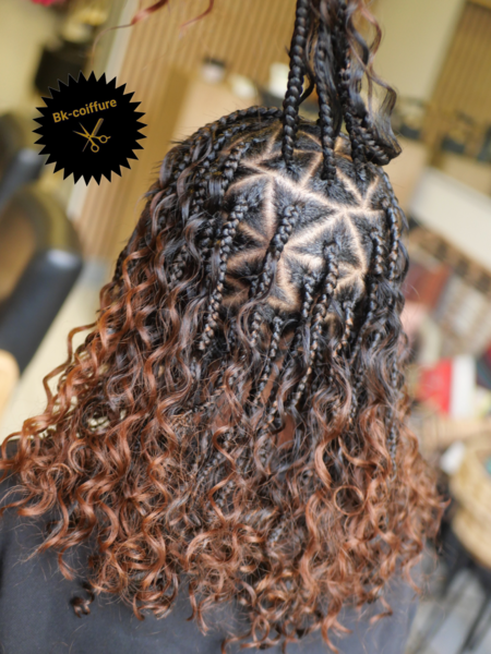 salon de coiffure afro tresse tresses box braids crochet braids vanilles tissages paris 75 77 78 91 92 93 94 95 EXYHTWLF