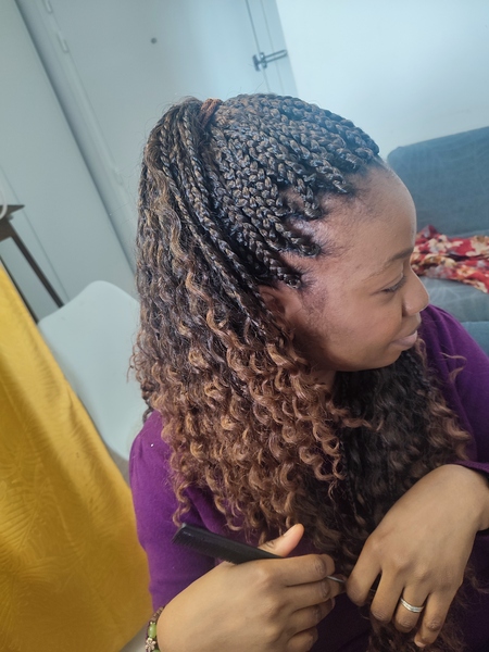 salon de coiffure afro tresse tresses box braids crochet braids vanilles tissages paris 75 77 78 91 92 93 94 95 CNITSIRK
