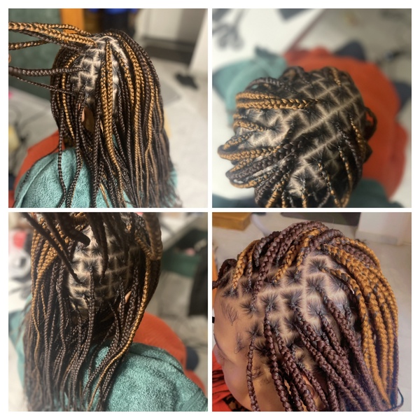salon de coiffure afro tresse tresses box braids crochet braids vanilles tissages paris 75 77 78 91 92 93 94 95 GRBSTQVD