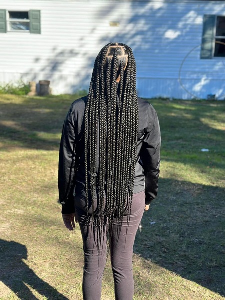 salon de coiffure afro tresse tresses box braids crochet braids vanilles tissages paris 75 77 78 91 92 93 94 95 TSODRZUY