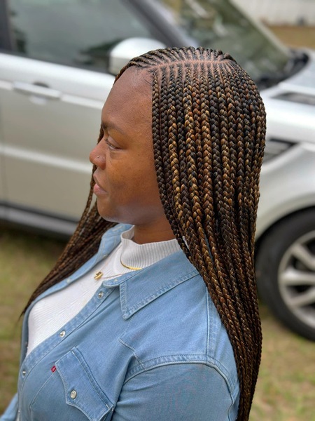 salon de coiffure afro tresse tresses box braids crochet braids vanilles tissages paris 75 77 78 91 92 93 94 95 PKAAJCMP