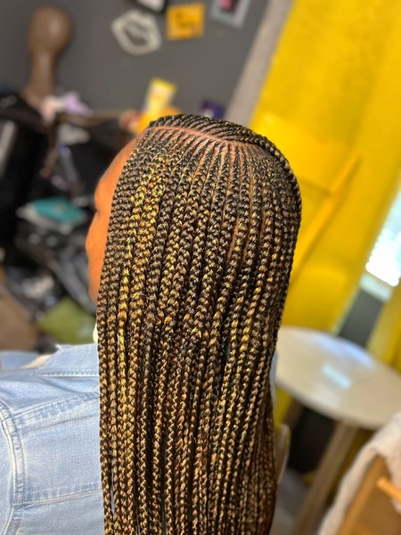 salon de coiffure afro tresse tresses box braids crochet braids vanilles tissages paris 75 77 78 91 92 93 94 95 SNNWNJTZ