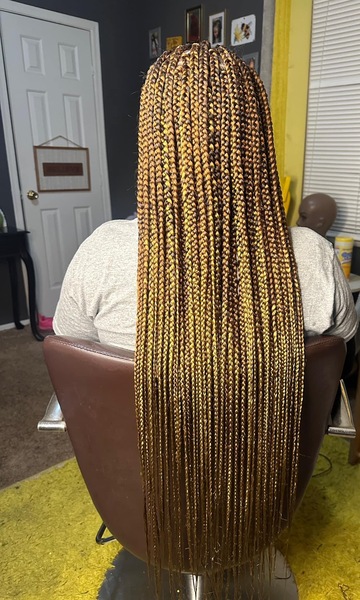salon de coiffure afro tresse tresses box braids crochet braids vanilles tissages paris 75 77 78 91 92 93 94 95 LXXRFQHD