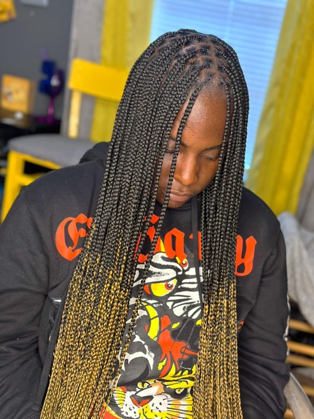 salon de coiffure afro tresse tresses box braids crochet braids vanilles tissages paris 75 77 78 91 92 93 94 95 RQHVWCVO