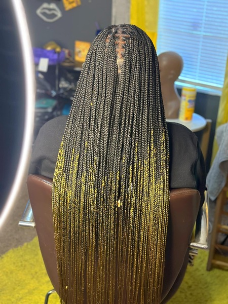 salon de coiffure afro tresse tresses box braids crochet braids vanilles tissages paris 75 77 78 91 92 93 94 95 WQNSIEPJ