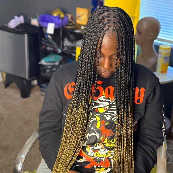 salon de coiffure afro tresse tresses box braids crochet braids vanilles tissages paris 75 77 78 91 92 93 94 95 LDWBJQUB
