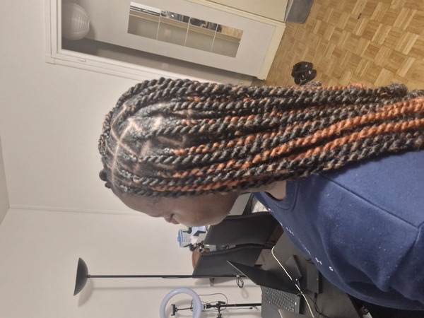 salon de coiffure afro tresse tresses box braids crochet braids vanilles tissages paris 75 77 78 91 92 93 94 95 VROQFXET