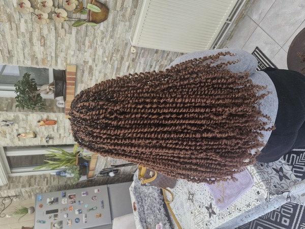 salon de coiffure afro tresse tresses box braids crochet braids vanilles tissages paris 75 77 78 91 92 93 94 95 AEYDEOAL