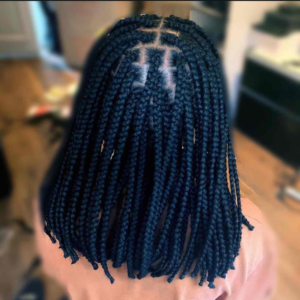 salon de coiffure afro tresse tresses box braids crochet braids vanilles tissages paris 75 77 78 91 92 93 94 95 XNHODAQV