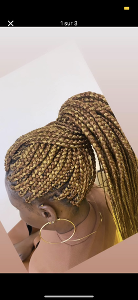 salon de coiffure afro tresse tresses box braids crochet braids vanilles tissages paris 75 77 78 91 92 93 94 95 FBHEVOVX