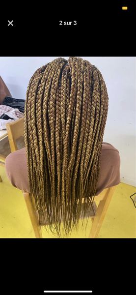 salon de coiffure afro tresse tresses box braids crochet braids vanilles tissages paris 75 77 78 91 92 93 94 95 AYLNJGUS