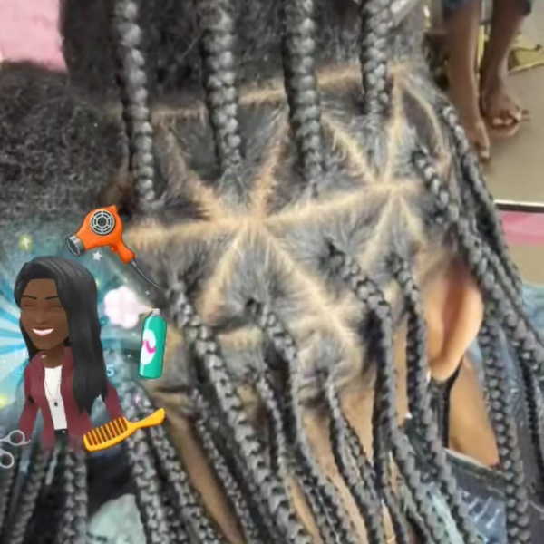 salon de coiffure afro tresse tresses box braids crochet braids vanilles tissages paris 75 77 78 91 92 93 94 95 JWDLBIDY
