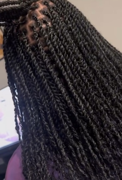 salon de coiffure afro tresse tresses box braids crochet braids vanilles tissages paris 75 77 78 91 92 93 94 95 DLHUUVXO