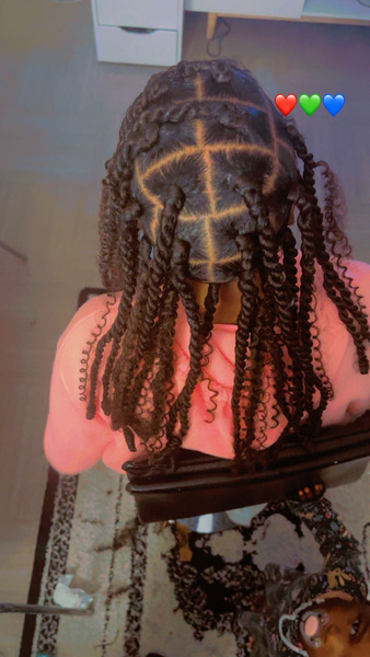 salon de coiffure afro tresse tresses box braids crochet braids vanilles tissages paris 75 77 78 91 92 93 94 95 JTBARQPG