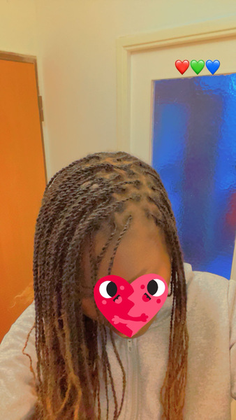 salon de coiffure afro tresse tresses box braids crochet braids vanilles tissages paris 75 77 78 91 92 93 94 95 DVTAQZZM