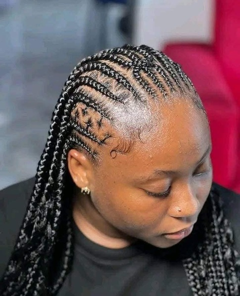 salon de coiffure afro tresse tresses box braids crochet braids vanilles tissages paris 75 77 78 91 92 93 94 95 JZXAOEUI