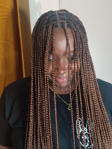 salon de coiffure afro tresse tresses box braids crochet braids vanilles tissages paris 75 77 78 91 92 93 94 95 GQKTJLRP
