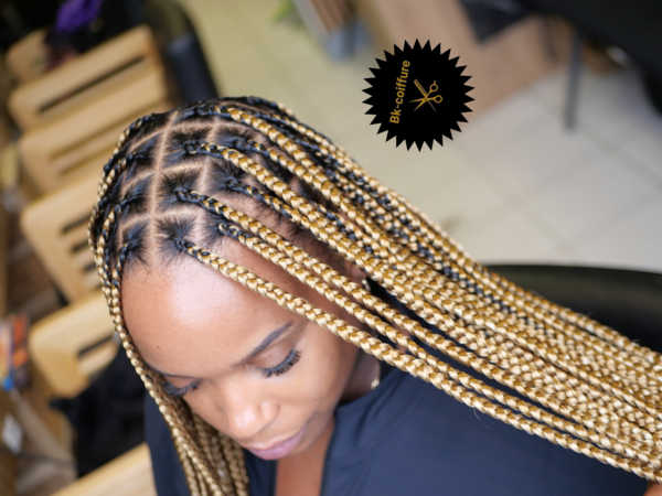 salon de coiffure afro tresse tresses box braids crochet braids vanilles tissages paris 75 77 78 91 92 93 94 95 BYHXFZTN