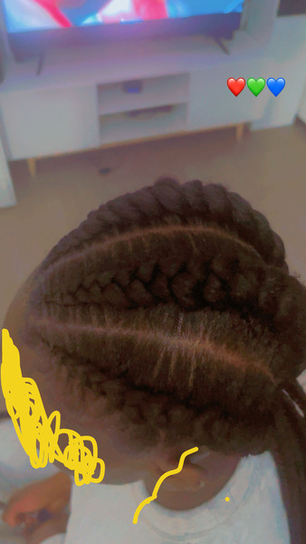 salon de coiffure afro tresse tresses box braids crochet braids vanilles tissages paris 75 77 78 91 92 93 94 95 EJKWTBDQ
