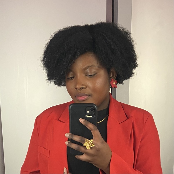 salon de coiffure afro tresse tresses box braids crochet braids vanilles tissages paris 75 77 78 91 92 93 94 95 ZRKALGVA