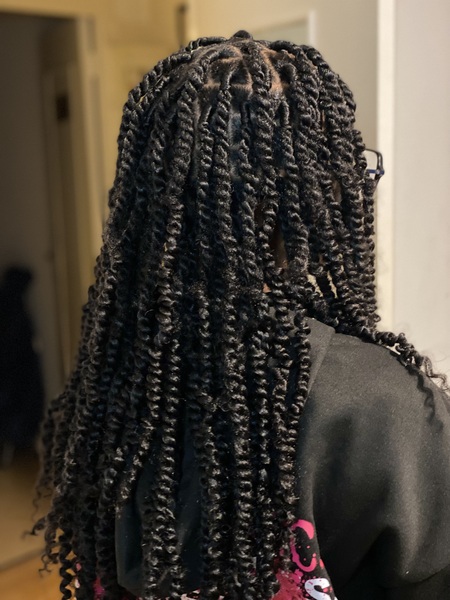 salon de coiffure afro tresse tresses box braids crochet braids vanilles tissages paris 75 77 78 91 92 93 94 95 JTDZYJFS