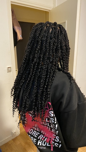 salon de coiffure afro tresse tresses box braids crochet braids vanilles tissages paris 75 77 78 91 92 93 94 95 XSZAKJXZ