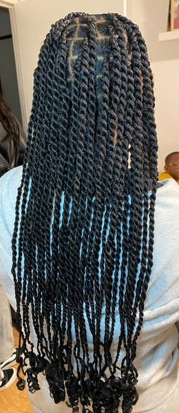 salon de coiffure afro tresse tresses box braids crochet braids vanilles tissages paris 75 77 78 91 92 93 94 95 RPNOLTXZ