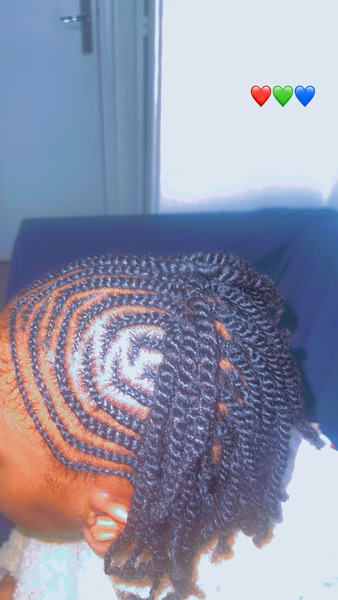 salon de coiffure afro tresse tresses box braids crochet braids vanilles tissages paris 75 77 78 91 92 93 94 95 LRQAGHRT