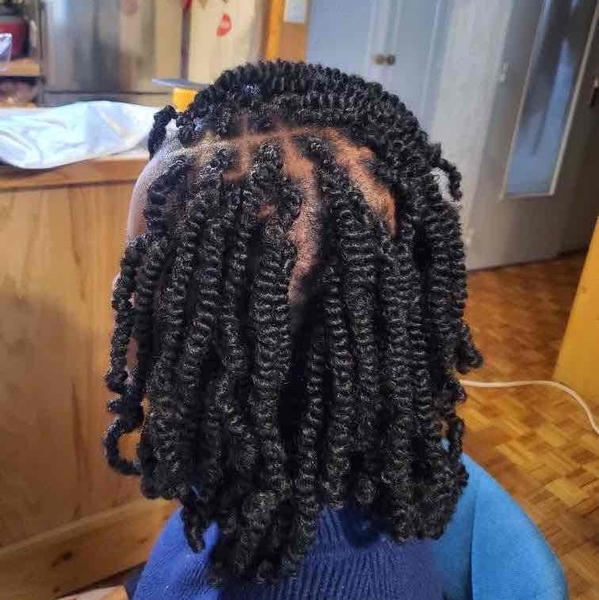 salon de coiffure afro tresse tresses box braids crochet braids vanilles tissages paris 75 77 78 91 92 93 94 95 GTGHOXYD