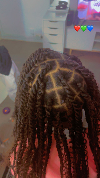 salon de coiffure afro tresse tresses box braids crochet braids vanilles tissages paris 75 77 78 91 92 93 94 95 ULQXKFSG