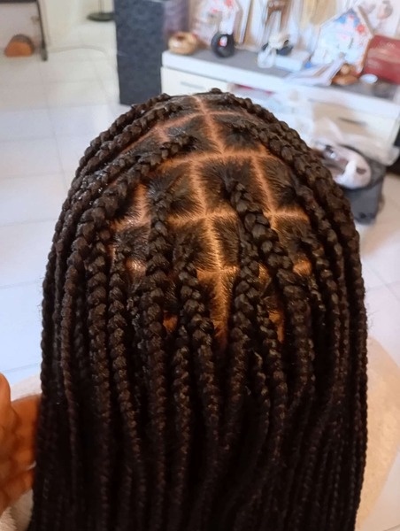 salon de coiffure afro tresse tresses box braids crochet braids vanilles tissages paris 75 77 78 91 92 93 94 95 LKUTJMLK