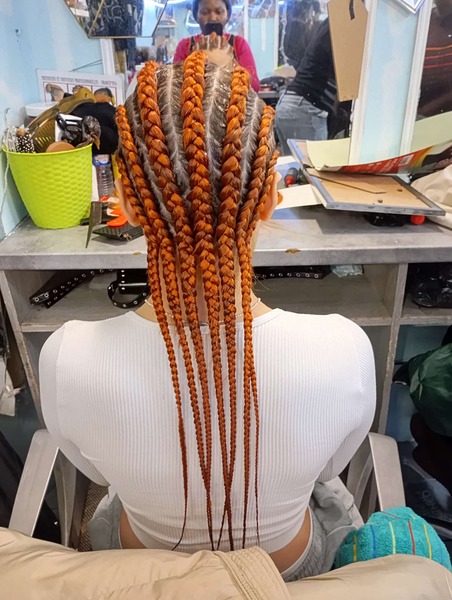 salon de coiffure afro tresse tresses box braids crochet braids vanilles tissages paris 75 77 78 91 92 93 94 95 MTEPFVYG
