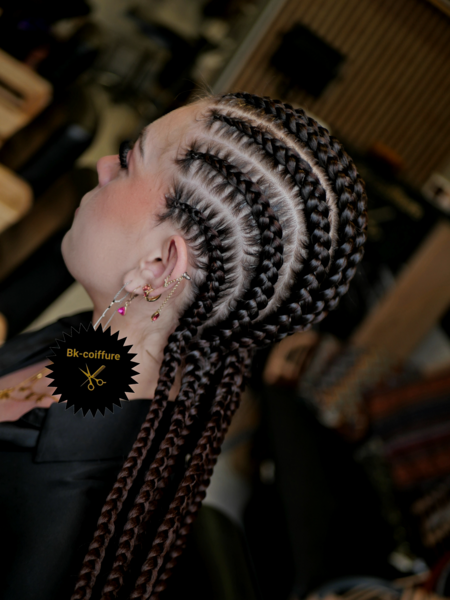 salon de coiffure afro tresse tresses box braids crochet braids vanilles tissages paris 75 77 78 91 92 93 94 95 MCSQYGHX