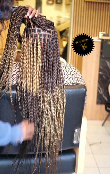 salon de coiffure afro tresse tresses box braids crochet braids vanilles tissages paris 75 77 78 91 92 93 94 95 OPRSXZLG