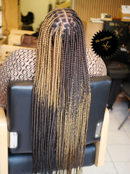 salon de coiffure afro tresse tresses box braids crochet braids vanilles tissages paris 75 77 78 91 92 93 94 95 AWOVZUKH