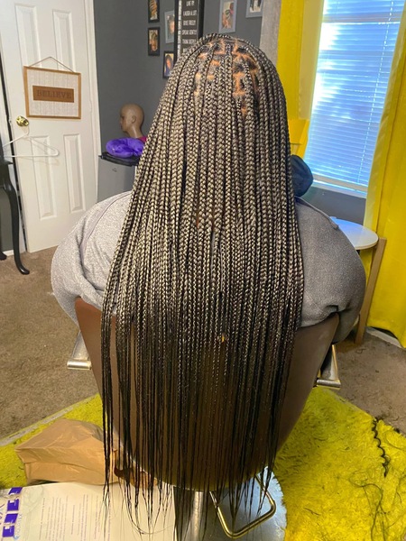 salon de coiffure afro tresse tresses box braids crochet braids vanilles tissages paris 75 77 78 91 92 93 94 95 FUEJJMXJ