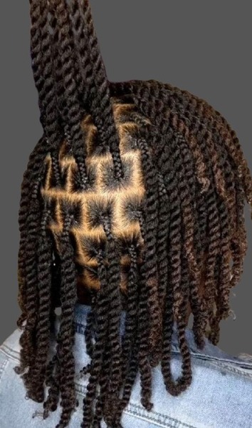 salon de coiffure afro tresse tresses box braids crochet braids vanilles tissages paris 75 77 78 91 92 93 94 95 JJQHTAFP
