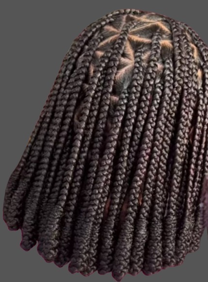 salon de coiffure afro tresse tresses box braids crochet braids vanilles tissages paris 75 77 78 91 92 93 94 95 XDLUAQPI