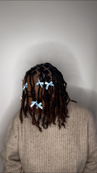 salon de coiffure afro tresse tresses box braids crochet braids vanilles tissages paris 75 77 78 91 92 93 94 95 LGQKOCWX