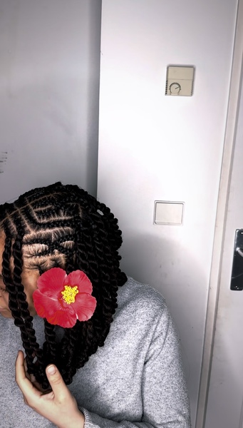 salon de coiffure afro tresse tresses box braids crochet braids vanilles tissages paris 75 77 78 91 92 93 94 95 OAAXMZFM