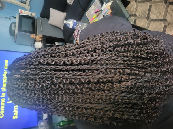 salon de coiffure afro tresse tresses box braids crochet braids vanilles tissages paris 75 77 78 91 92 93 94 95 TUJTRTBD