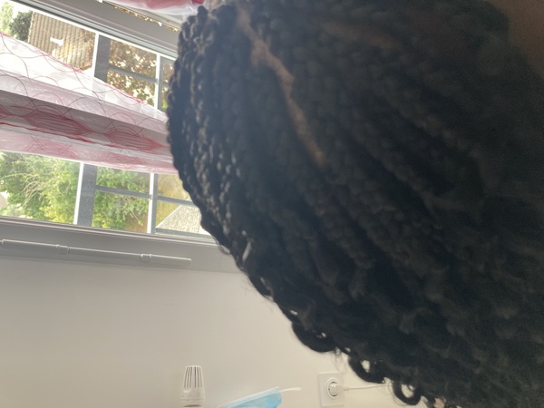 salon de coiffure afro tresse tresses box braids crochet braids vanilles tissages paris 75 77 78 91 92 93 94 95 FOLGXTFD
