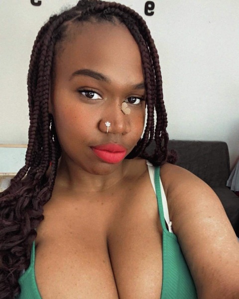 salon de coiffure afro tresse tresses box braids crochet braids vanilles tissages paris 75 77 78 91 92 93 94 95 LQWPIWXA